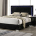 Sinistra Bed image